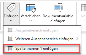 Gezeigt wird der Befehl "Spaltenname einfügen", der erscheint, wenn man im Excel-Ribbon auf 'Einfügen' klickt