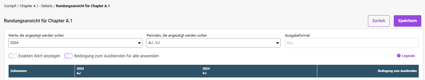 Gezeigt wird der obere Bereich der Rundungsansicht, in dem man die Konfiguration der angezeigten Werte und Perioden, des Ausgabeformats und der ausgeblendeten Zellen vornehmen kann.